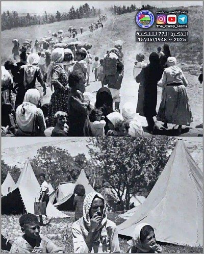 Palestine from the camp